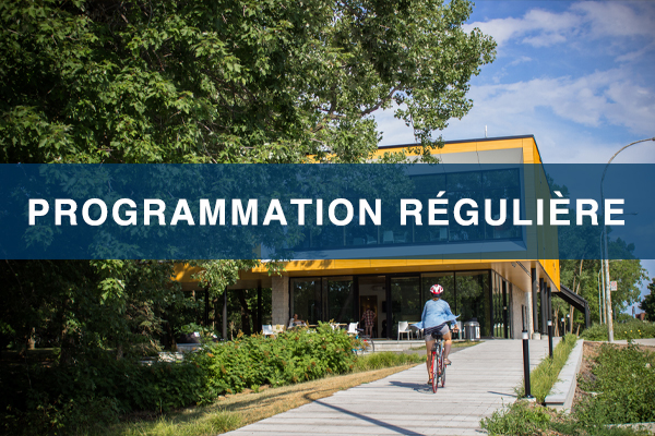 Programmation régulière
